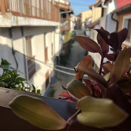 La Golondrina Apartment Канделеда Екстериор снимка