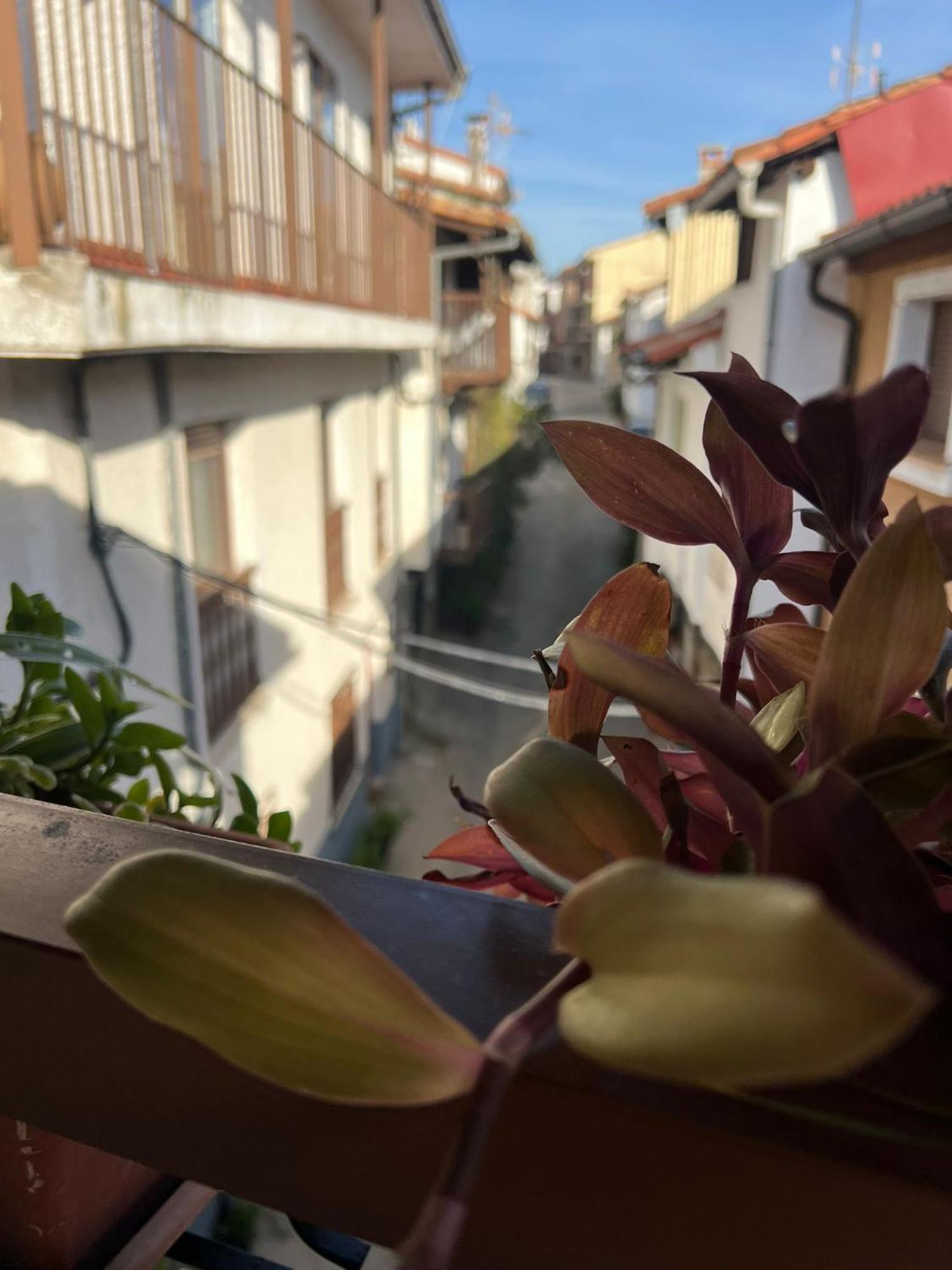 La Golondrina Apartment Канделеда Екстериор снимка